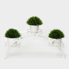 Подставка для цветов «Арка-3», d=12 см, 50×15×22 см, белый - Фото 1