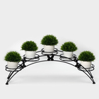 Подставка для цветов «Арка-5», d=12 см, 69×15.5×25.5 см, черный - Фото 1