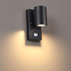 Настенный светильник фасадный с датчиком движения IP44 1x7Вт - фото 301204428
