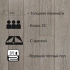 Ламинат для пола Victory Beauty 833 V4 2579, 1285×192 мм, 8 мм, 33 класс, цвет дуб чембери натуральный, 2.22 м² - Фото 2