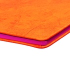 Дневник универсальный 1-11 класс, 48 листов "Оранжевый", твёрдая обложка из искусственной кожи, тиснение фольгой - фото 23792203