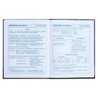 Дневник для 1-4 классов, 48 листов "Мечтательница", твёрдая обложка, глянцевая ламинация, тиснение фольгой - фото 24553409