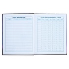 Дневник для 1-4 классов, 48 листов "Мечтательница", твёрдая обложка, глянцевая ламинация, тиснение фольгой - фото 24553402