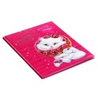 Дневник для 1-4 классов, 48 листов "Кот", твёрдая обложка, глянцевая ламинация, тиснение фольгой - фото 23714667