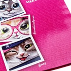 Дневник универсальный для 1-11 классов, 48 листов "Коты", интегральная обложка, глянцевая ламинация - Фото 4