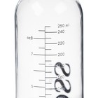 Бутылочка для кормления стекло «BABY BOSS», классическое горло, 250 мл., от 3 мес. - Фото 7