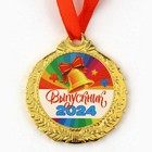 Медаль школьная на Выпускной «Выпускник 2024», на ленте, золото, металл, d = 4 см - Фото 3