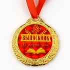 Медаль школьная на выпускной «Выпускник, добрый путь», на ленте, золото, металл, d=4 см - Фото 3