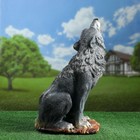 Садовая фигура "Волк воющий" 19х30х52см - Фото 3