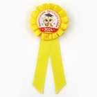 Значок-орден на Выпускной «Выпускник детского сада» 2024, d = 6,7 см - фото 9295555