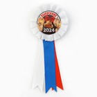 Значок - орден пластик на Выпускной «Выпускник» 2024, d = 6,7 см - фото 9295558