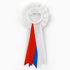Значок - орден пластик на Выпускной «Выпускник» 2024, d = 6,7 см - фото 9295559