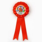 Значок-орден на Выпускной «Выпускник детского сада» дети, 2024, d = 6,7 см - фото 9295561