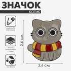 Значок «Котик» из Гриффиндора, цветной в чёрном металле - Фото 4