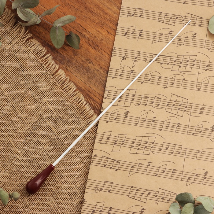 Дирижерская палочка Music Life, 38,5 х 2 см, красная ручка