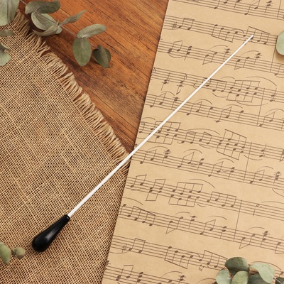 Дирижерская палочка Music Life, 38.5×2 см, черная ручка