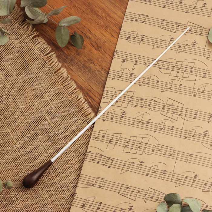 Дирижерская палочка Music Life, 38,5 х 2 см, коричневая деревянная ручка - Фото 1