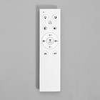 Люстра с ПДУ "Ива" 6хLED 240Вт 3000-6000К RGB черный 75х52х14см 9644109