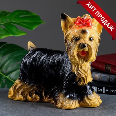 Копилка для денег «Йоркширский терьер», гипс, 16×32×28 см
