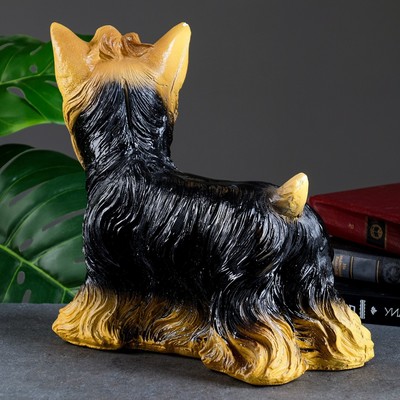 Копилка для денег «Йоркширский терьер», гипс, 16×32×28 см