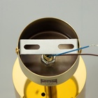 Спот «Андри» GU10 золото 7.5×7.5×20 см - Фото 9