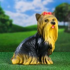 Садовая фигура из гипса «Йоркширский терьер», 35×20×30 см - Фото 1