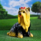 Садовая фигура из гипса «Йоркширский терьер», 35×20×30 см - Фото 2