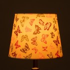 Абажур для светильника универсальный BayerLux «Бабочки», Е27/Е14, 24×24×19 см - Фото 7