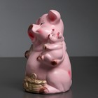 Копилка "Свинка с поросенком" 30см - Фото 3