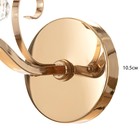 Бра «Вилма» Е27 40 Вт золото - фото 5036468