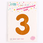 Воздушный шар фольгированный 24" «Цифра 3» на подставке, гепард - Фото 4