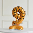 Воздушный шар фольгированный 24" «Цифра 9. Тигр», под воздух - Фото 2