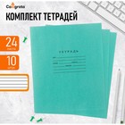 Комплект тетрадей из 10 штук, 24 листа в линию Бумажная фабрика "Зелёная обложка", 60 г/м2, блок офсет, белизна 96% - фото 8935241