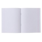 Набор тетрадей «Зелёная обложка» 20 штук, 24 листа в клетку, плотность 60 г/м² - Фото 3