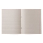 Набор тетрадей «Зелёная обложка» 20 штук, 24 листа в линейку, эконом, плотность 60 г/м² - Фото 3