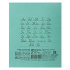 Набор тетрадей «Зелёная обложка» 20 штук, 24 листа в линейку, эконом, плотность 60 г/м² - Фото 4