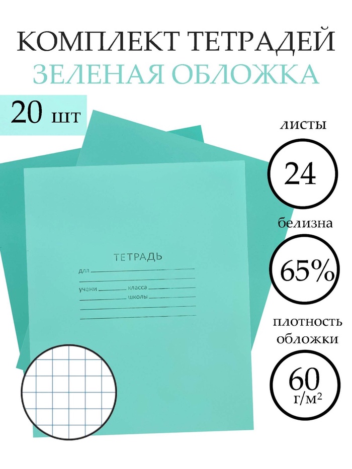 Набор тетрадей «Зелёная обложка» 20 штук, 24 листа в клетку, эконом, плотность 60 г/м² - Фото 1