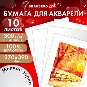 Бумага для Акварели, 270 х 390 мм, BRAUBERG ART PREMIERE, 10 листов, мелкое зерно, блок 300 г/м2