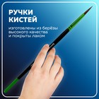 Набор кистей 10 штук, BRAUBERG PREMIUM, круглые пони - 5 шт., синтетика - 3 шт., плоские щетина - 2 шт. - Фото 14