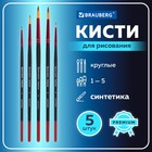 Набор кистей Синтетика 5 штук, BRAUBERG PREMIUM, круглые № 1, 2, 3, 4, 5 - Фото 2