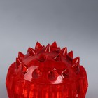 Массажёр «Су-джок», d = 3,5 см, с 2 кольцами, цвет красный - Фото 8