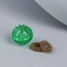 Массажёр «Су-джок», d = 3,5 см, с 2 кольцами, цвет зелёный - Фото 7