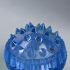Массажёр «Су-джок», d = 3,5 см, с 2 кольцами, цвет синий - Фото 8