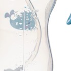 Бутылочка для кормления M&B, широкое горло Ø50 мм, от 6 мес., 300 мл., голубой - Фото 5