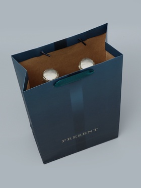 Пакет подарочный под две бутылки, упаковка, «Present», 35 х 20 х 9 см