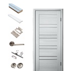 Комплект двери для санузла 282, со стеклом мателюкс, 800×2000×36 мм, экошпон, цвет ясень пепельный 10342398