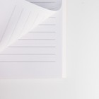 Набор в портфеле: ежедневник А5, магнитные закладки и ручка «Верь в мечту» - фото 23730252