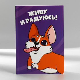 Подарочный набор, ежедневник А5, магнитные закладки и ручка «Для тех, у кого лапки»