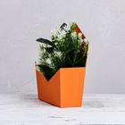 Конверт трапеция  однотонный, оранжевый 19,5 х 23 х 8 см - фото 23730468