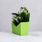 Конверт трапеция  однотонный, салатовый19,5 х 23 х 8 см - фото 23730470